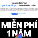 Hướng dẫn đăng ký Google Gemini Pro và 2TB dung lượng miễn phí cho sinh viên Việt Nam